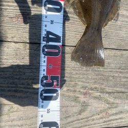 初めての筏釣り