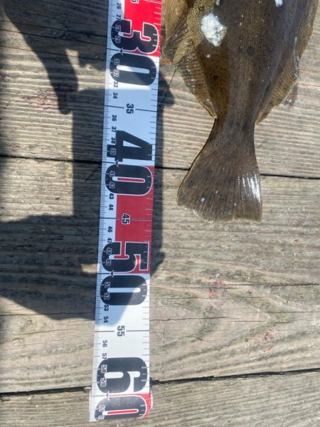 初めての筏釣り