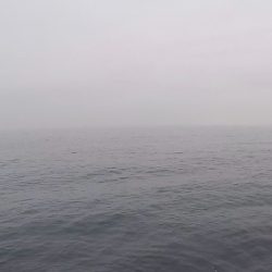 2024ライトゲーム第15戦