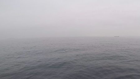 2024ライトゲーム第15戦