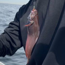 アンカリングのコツを知りたいw