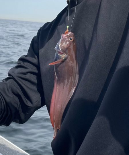 アンカリングのコツを知りたいw