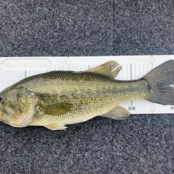 午前中ボート釣行!