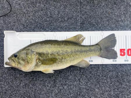 午前中ボート釣行!