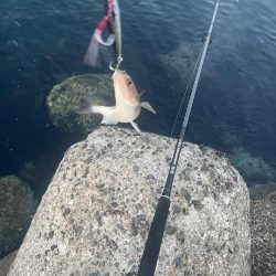 ショアジギング