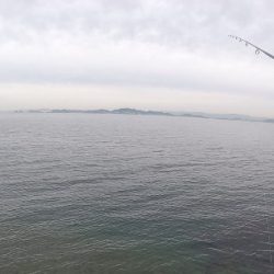 2024ライトゲーム第14戦