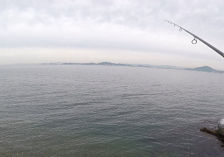 2024ライトゲーム第14戦