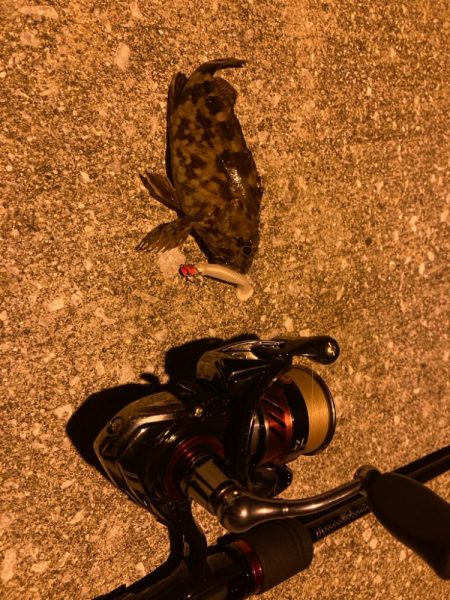 狙いはシーバス!