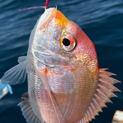 今シーズン初のボート釣行！