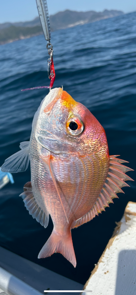 今シーズン初のボート釣行！