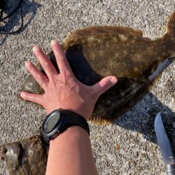 ２年振りのカレイ釣り（記録更新）