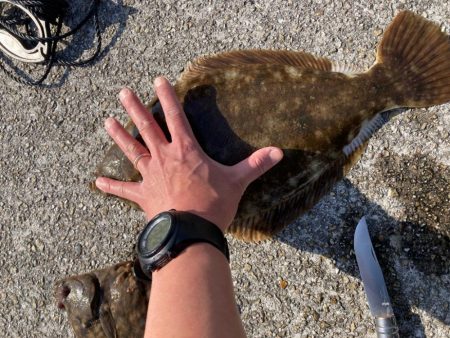 ２年振りのカレイ釣り（記録更新）