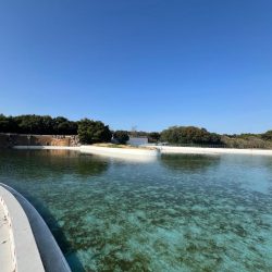 フィッシングプール初トライ