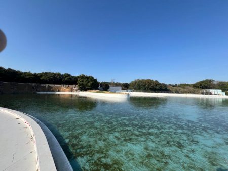 フィッシングプール初トライ