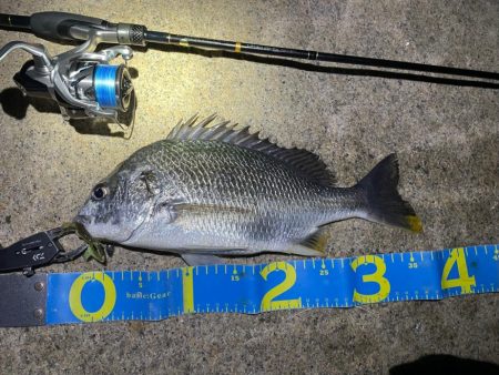 淀川ブリームゲーム