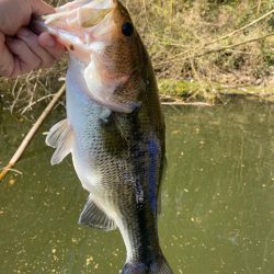 1日ボート釣行！