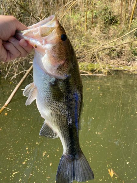 1日ボート釣行！