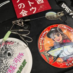 室津のカットウフグ