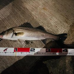 久しぶりの連続ヒット