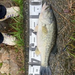 たくさん釣れました！！