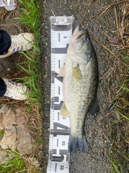 たくさん釣れました！！