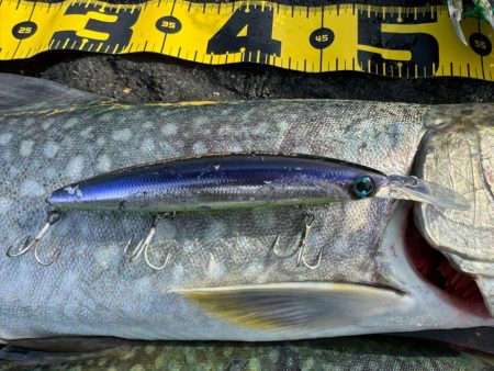 大物は目の前にして逃げられる笑