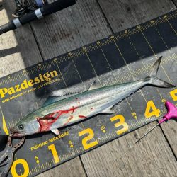 筏シーズン開幕