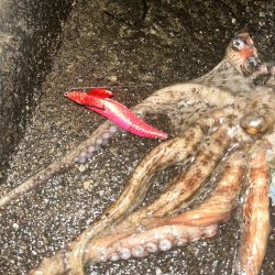 ゴールデンウィーク開幕