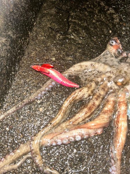 ゴールデンウィーク開幕