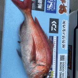 ディープ鯛ラバ