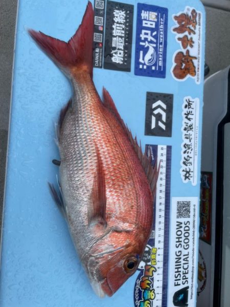 ディープ鯛ラバ