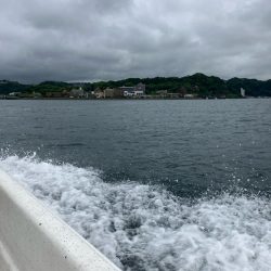 SLJ便に乗ってきました