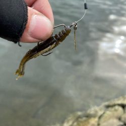 一日中彷徨い続け….