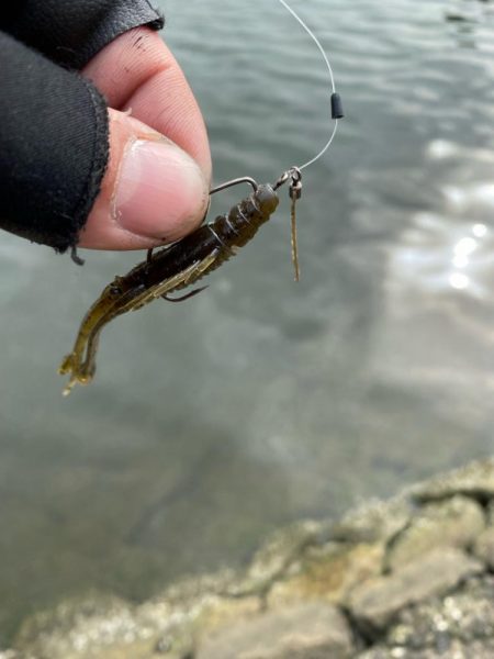一日中彷徨い続け….