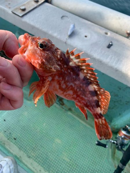 タイラバのつもりが…