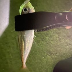 ランガンアジング