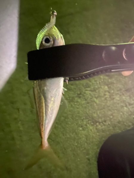 ランガンアジング