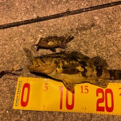 ズル引きでタケノコゲット