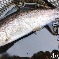 引原川、本流シーズン開幕!