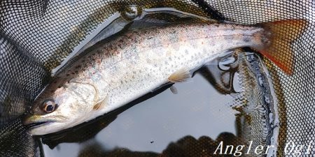 引原川、本流シーズン開幕!