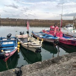 江住湾で胴突仕掛けで