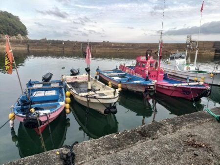 江住湾で胴突仕掛けで