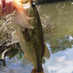 ウキウキパターン