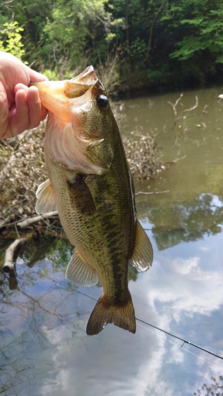 ウキウキパターン