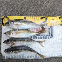 この時期に！？