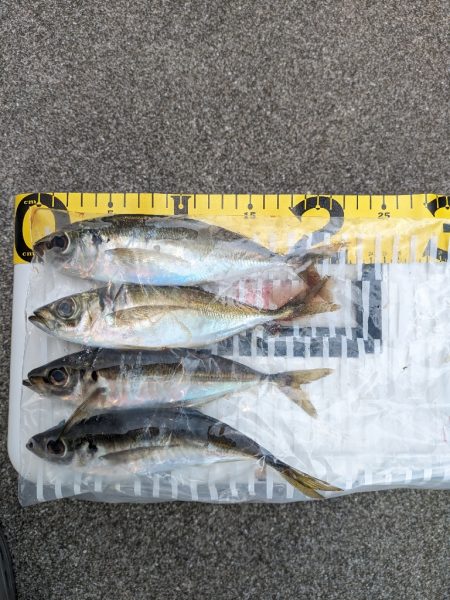 この時期に！？