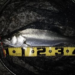 場所ムラがある感じ