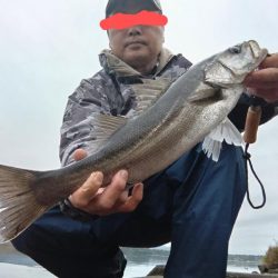 シーバス釣れました!