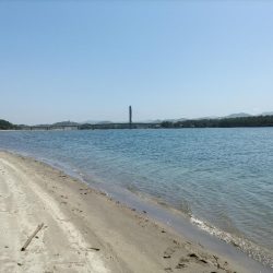 ちびマゴチ釣れました。