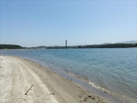 ちびマゴチ釣れました。